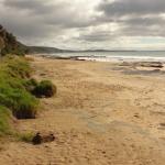 Lorne - Shelly beach